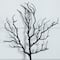 14in. Pre-Lit Artificial Halloween Black Twig Branches with 45 Orange LED Lights and Integrated Ground Stake - Set of 3